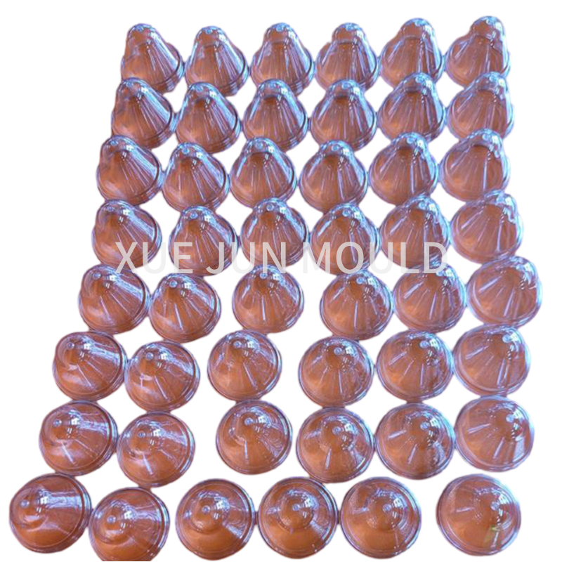 48cavity PET wide-mouth bottle preform mold